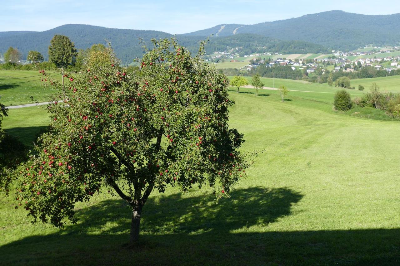 Hochfichtblick Apartments ウルリッヒスベルク エクステリア 写真