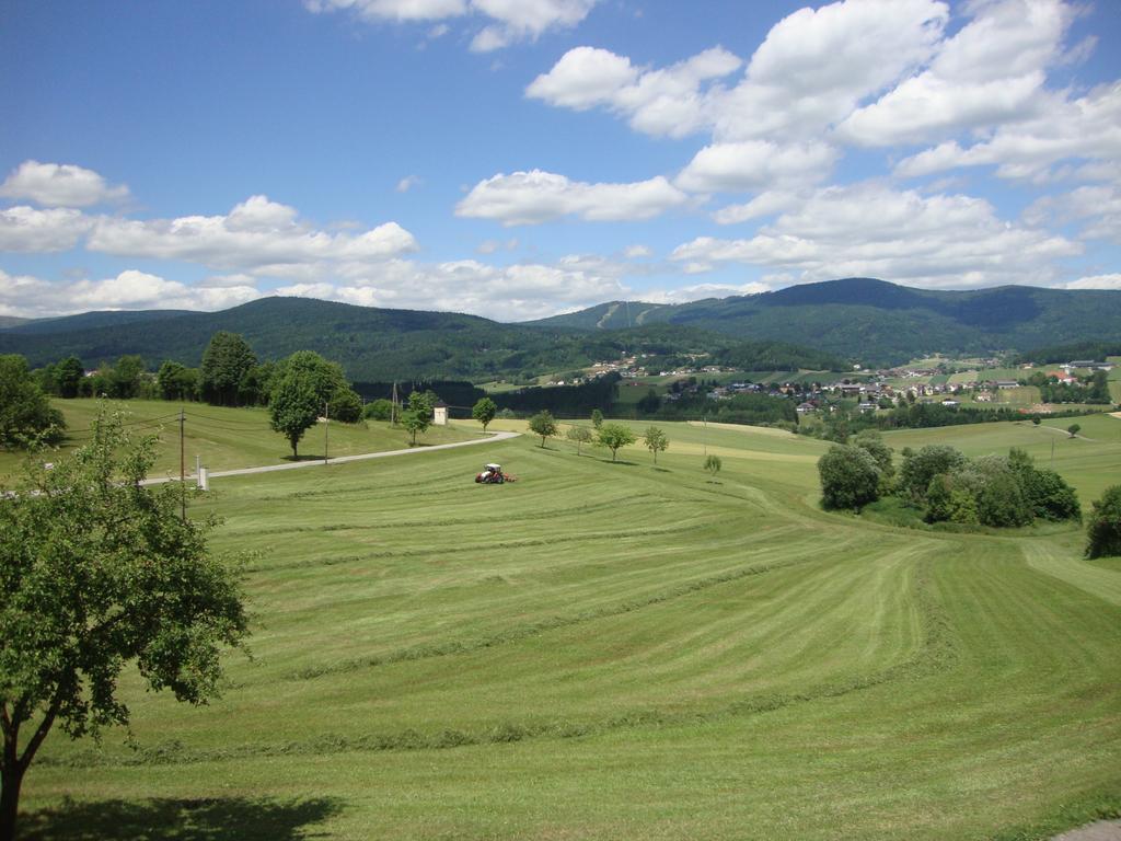 Hochfichtblick Apartments ウルリッヒスベルク エクステリア 写真
